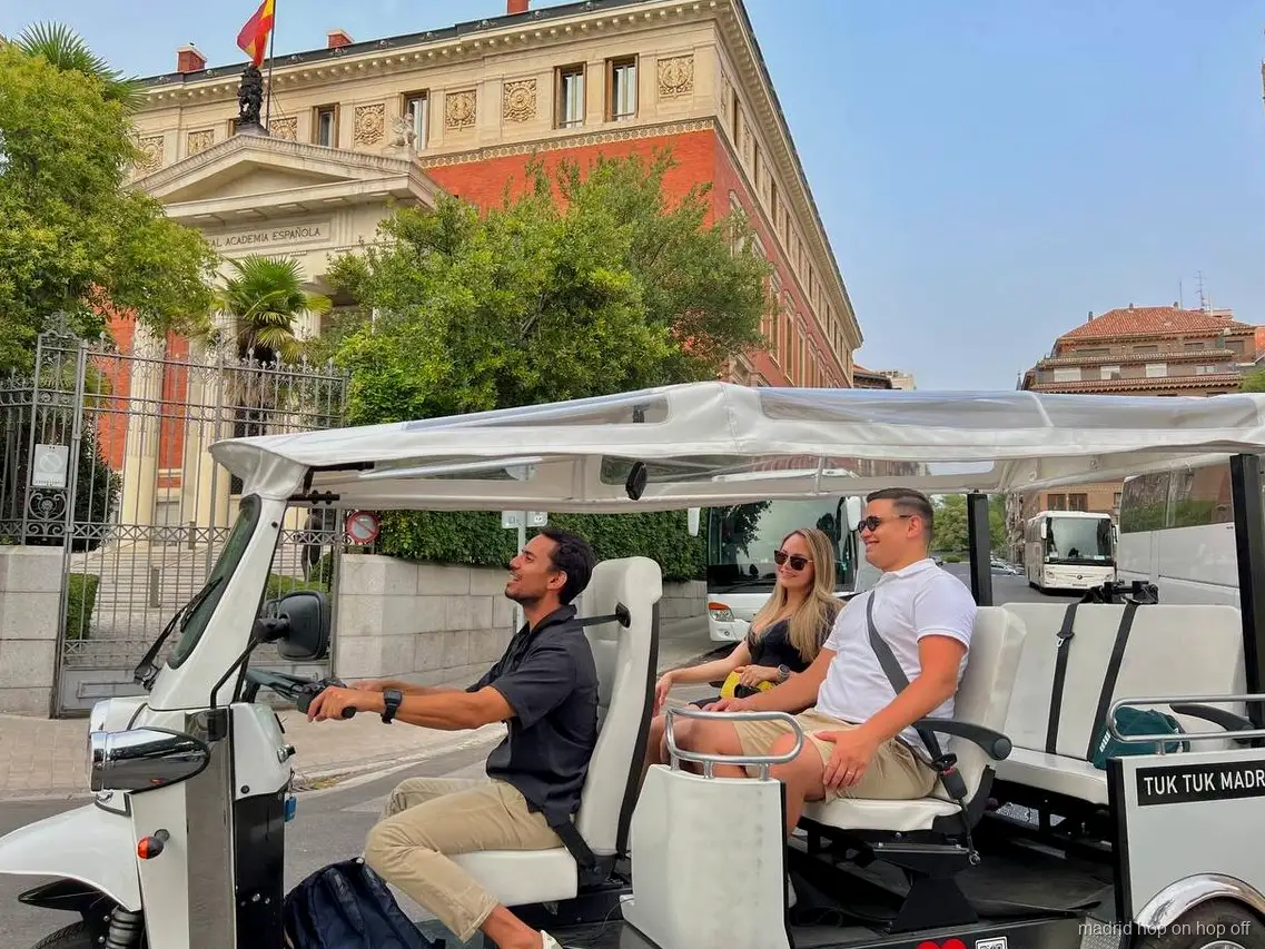 Private electric tuk tuk tour passing the Royal Palace of Madrid